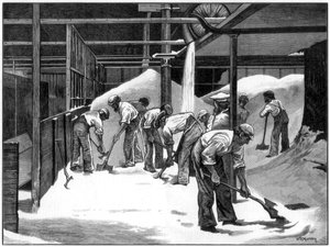 Zuckerherstellung in der Counterslip-Raffinerie, Bristol, 1873 von WB Murray