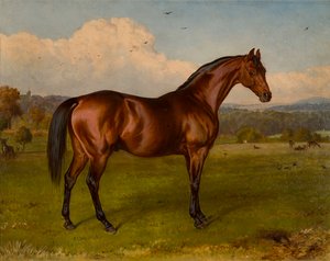 Retreat-Gewinner des Doncaster Cup von W.H. Hopkins