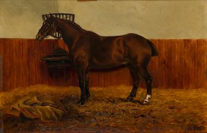 Der alte Cob in einem Stall von W. F. Adye