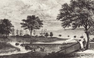 Büffel von John Ward Dunsmore