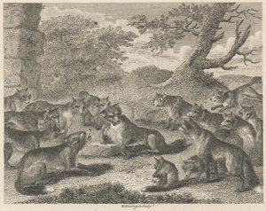 Der Fuchs am Todespunkt