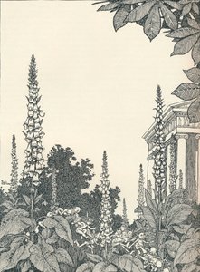 Illustration zu Ein Sommernachtstraum, 1914, 1925 von William Heath Robinson
