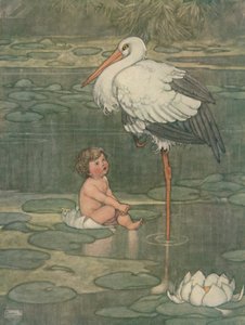 Die Knospe öffnete sich zu einer voll erblühten Blume, c1930