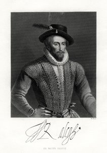 Sir Walter Raleigh von W. Holl