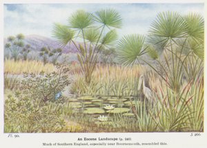 Eine eozäne Landschaft von W. J. Stokoe