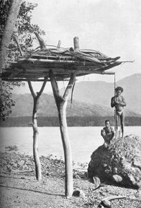 Totenplattform in Neuguinea, 1902