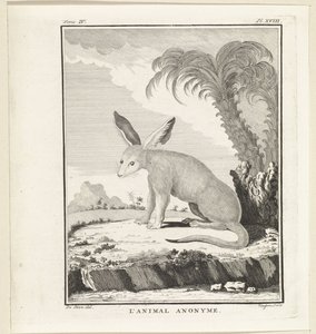 Unbekanntes Tier von W. Tringham