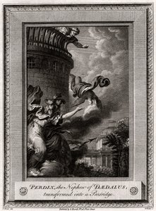 Perdix, der Neffe von Daedalus, verwandelt in ein Rebhuhn, 1774 von W. Walker