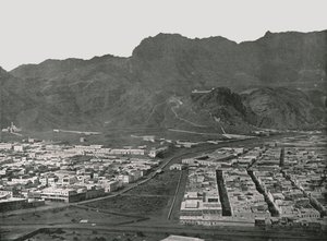 Gesamtansicht des Kamelmarktes, Aden, 1895 von W and S Ltd