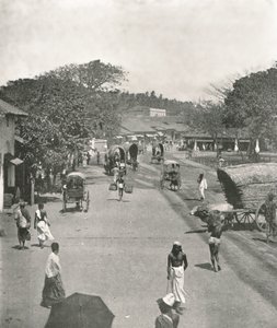 Straßenszene in der Nähe des Rathauses, Colombo, Ceylon, 1895
