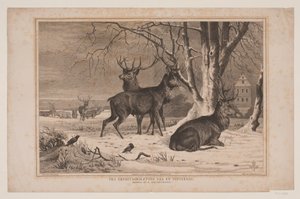 Von der Eremitage-Ebene an einem Wintertag