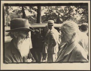 Unabhängigkeitstag, Terra Alta, West Virginia von Walker Evans