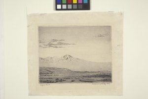 Mojave-Wüste von Wallace Leroy DeWolf