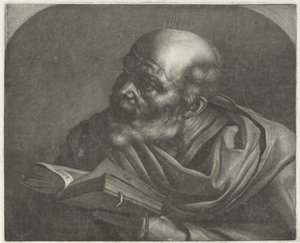 Kale Mann von Wallerant Vaillant
