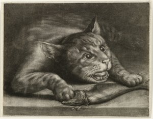 Katze mit einem Fisch von Wallerant Vaillant