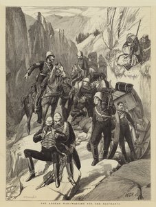 Der Afghanische Krieg, Warten auf die Elefanten