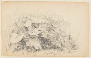 Studie von Gras und Pflanzen von Walter Clark