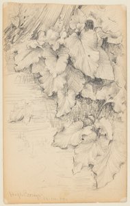 Studie von Pflanzen am Wasser, High Bridge von Walter Clark