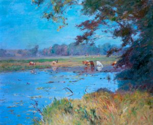Der Wasserteich
