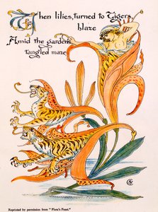 Tigerlilien, Illustration aus 