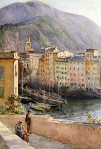 Hafen, Camogli