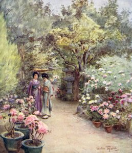 Pfingstrosen in einem Teegarten, Kyoto von Walter Frederick Roofe Tyndale
