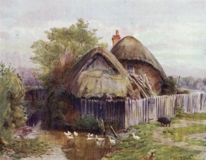 Der New Forest: Ein Cottage in Bartley von Walter Frederick Roofe Tyndale