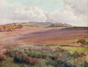 Der New Forest: Über Malwood Walk von der Straße nach Fritham von Walter Frederick Roofe Tyndale