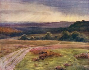Der New Forest: Boldrewood Walk, Puck Pitts, von der Fritham Straße
