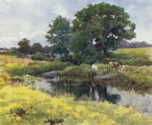 Der New Forest: Am Lymington Fluss