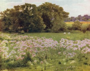 Der New Forest: Riversdale, Boldre von Walter Frederick Roofe Tyndale