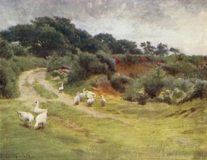 Der New Forest: Royden Common, nahe Brokenhurst von Walter Frederick Roofe Tyndale
