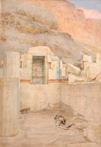 Zwei Greifvögel mit einem Storchkadaver von Walter Frederick Roofe Tyndale