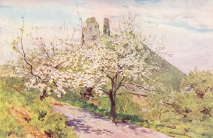 Wessex: Frühling in Wessex (Farblithografie) von Walter Frederick Roofe Tyndale