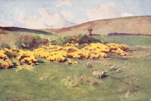 Wessex: Sommer in Wessex von Walter Frederick Roofe Tyndale