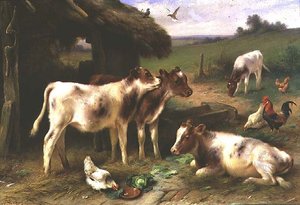 Kälber und Geflügel bei einer Scheune in einer Landschaft