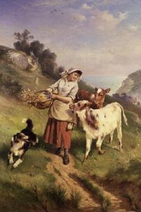 Mädchen mit zwei Kälbern