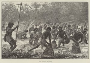 Beel-Fischen in Assam von Walter Paget