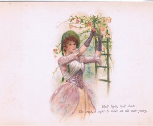 Halb Licht, halb Schatten (Illustration aus Tennyson Pictures)