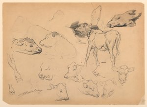 Studien von Rindern, Köpfen von Schafen und einem Schwein von Walter Shirlaw