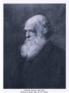 Radierung von Charles Darwin, Natur in Großbritannien von Walter William (after) Ouless