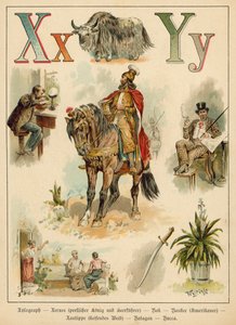 Buchstaben X und Y von Walter Zweigle