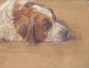 Hundekopf (Studie) von Walther Gamerith