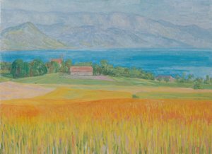 Kornfeld am Attersee von Walther Gamerith
