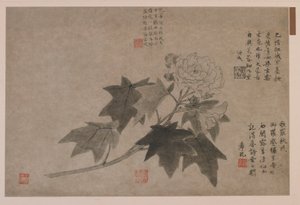 Hibiskus, 1347 von Wang Yuan