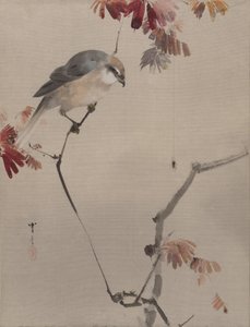 Vogel auf einem Ast beobachtet eine Spinne, ca. 1887