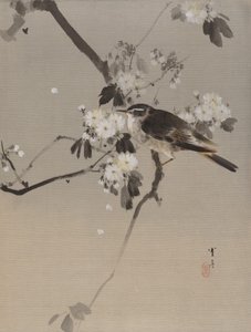 Vögel auf einem blühenden Zweig, ca. 1887 von Watanabe Seitei