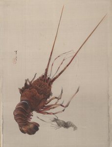 Krebs, ca. 1887