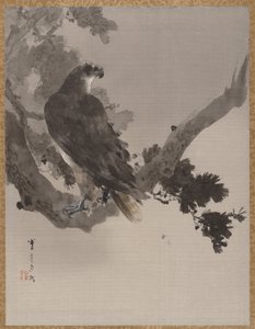 Adler in einem Baum
