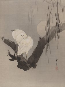 Reiher in einem Baum bei Nacht, ca. 1887 von Watanabe Seitei